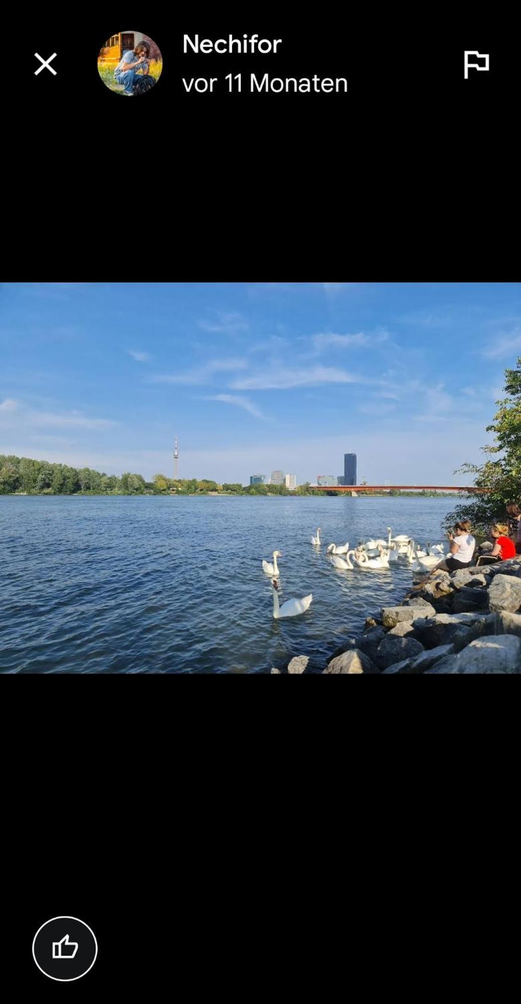 Schoene Altbauwohnung Wien Zentrum Brigittenauer Laende 32 외부 사진