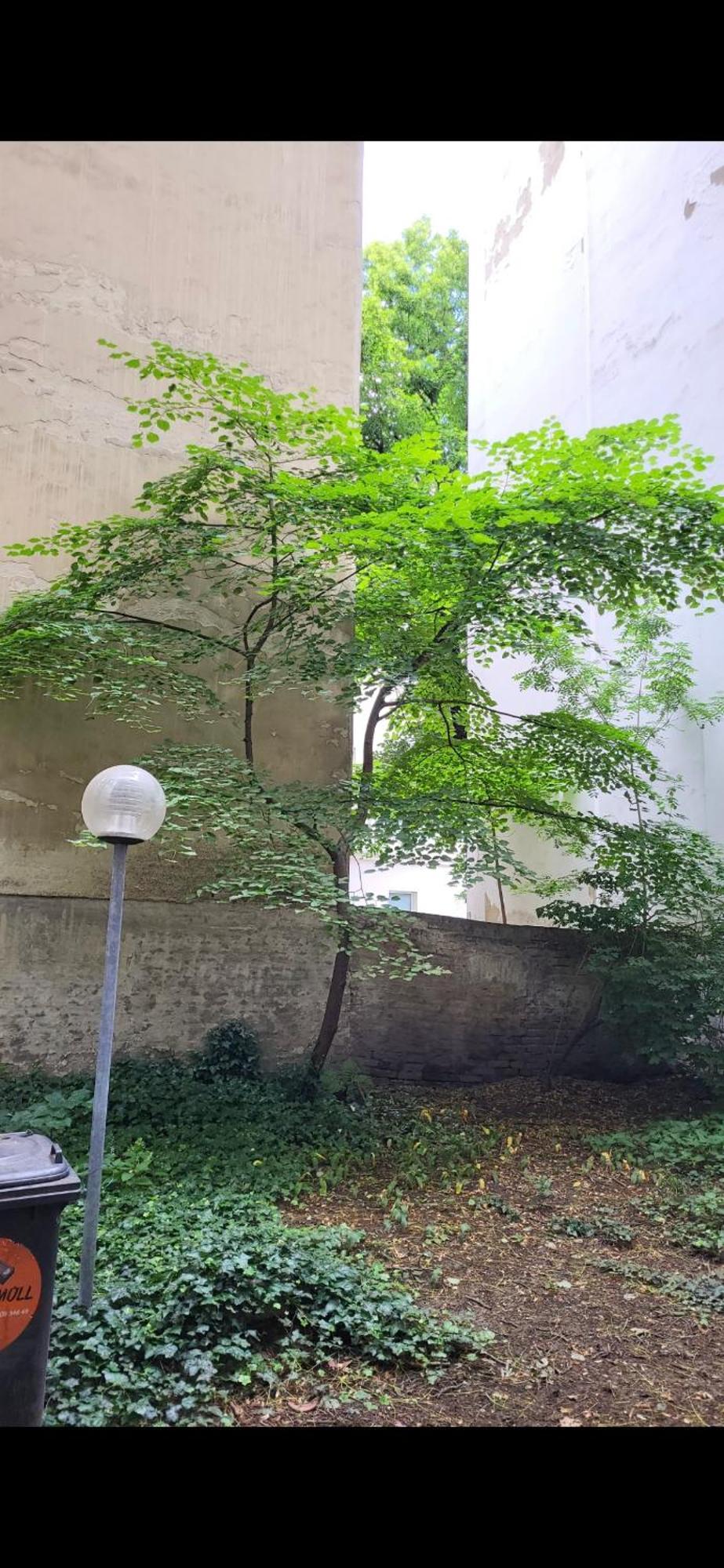 Schoene Altbauwohnung Wien Zentrum Brigittenauer Laende 32 외부 사진